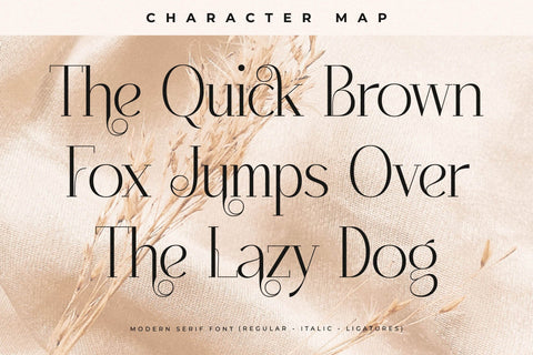 Qenliago Typeface Font Storytype Studio 