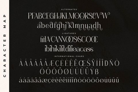 Qenliago Typeface Font Storytype Studio 