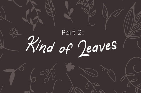 Qicka - Handwritten Font Font Attype studio 