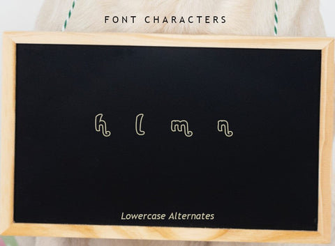 Qidstar Font Font Leamsign Studio 