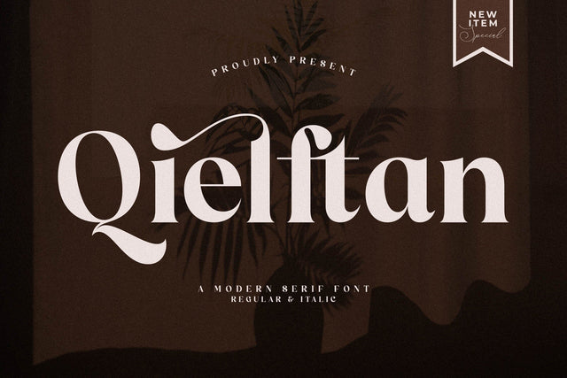 Qielftan Typeface Font Storytype Studio 