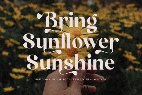 Qielftan Typeface Font Storytype Studio 