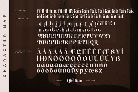 Qielftan Typeface Font Storytype Studio 