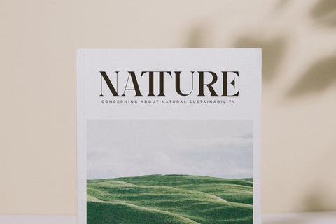 Qilgabe Typeface Font Storytype Studio 