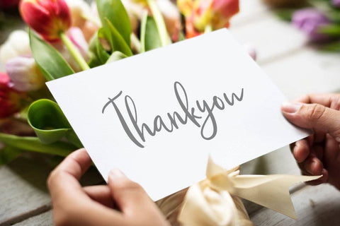 Qillyanst Signature Calligraphy Font Creatype Studio 