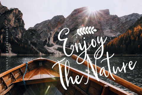 Qillyanst Signature Calligraphy Font Creatype Studio 