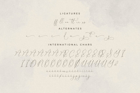 Qirtandy Fantasia - Luxury Calligraphy Font Font Storytype Studio 
