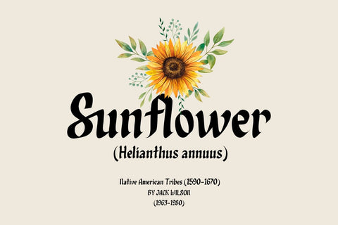 Qixohe - Blackletter Font Font twinletter 