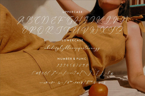 Qlouchester Westfild - Luxury Script Font Font Storytype Studio 