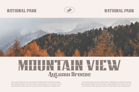 Qonihy | Serif Classic Modernism Font twinletter 