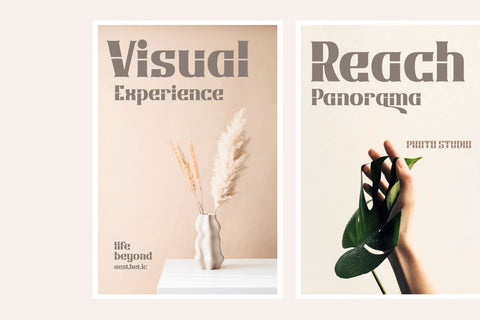 Qonihy | Serif Classic Modernism Font twinletter 