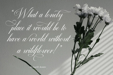 Quadrian - Elegant Script Font Arterfak Project 