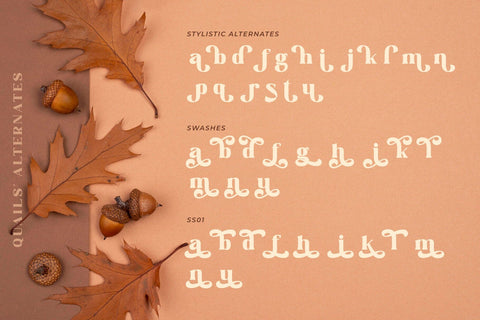 QUAILS Font Madatype Studio 