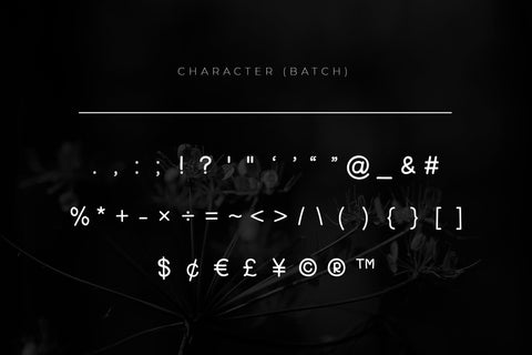 Quandam - A Quirky and Fun Display Font Font CraftLabSVG 