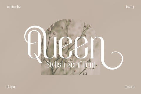 Queen Typeface Font Storytype Studio 