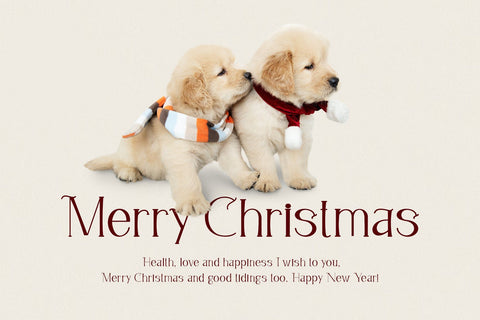 Queenlery Font Letterara 