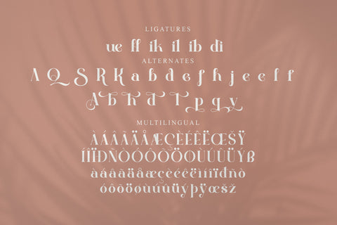 Quella Typeface Font Storytype Studio 