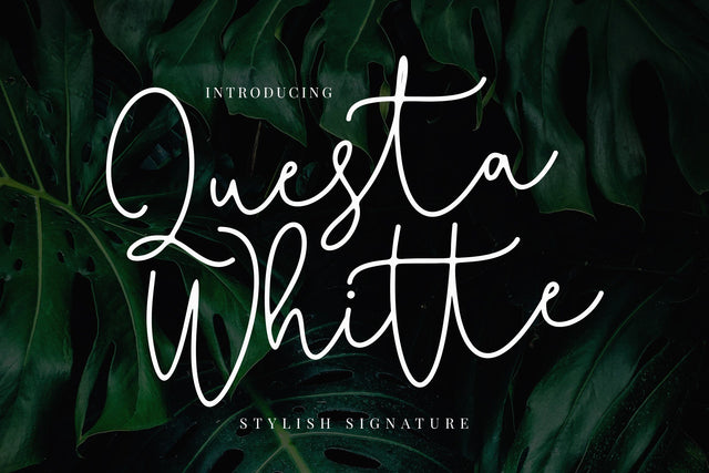 Questa Whitte Script Font Creatype Studio 