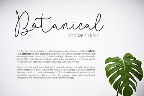 Questa Whitte Script Font Creatype Studio 