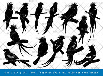 Quetzal Bird Silhouette, Quetzal Bird SVG, Bird Svg, Pet Bird Svg, Resplendent Quetzal Svg, Quetzal Bird Bundle, SB00869 SVG ETC Craft 