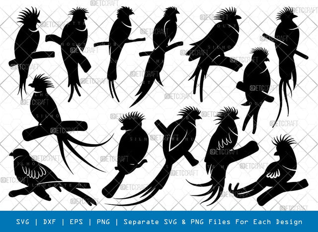 Quetzal Bird Silhouette, Quetzal Bird SVG, Bird Svg, Pet Bird Svg, Resplendent Quetzal Svg, Quetzal Bird Bundle, SB00869 SVG ETC Craft 