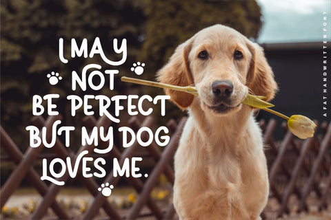 Quichflour Font Allouse.Studio 