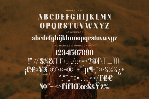 Quick Delight Typeface Font Storytype Studio 