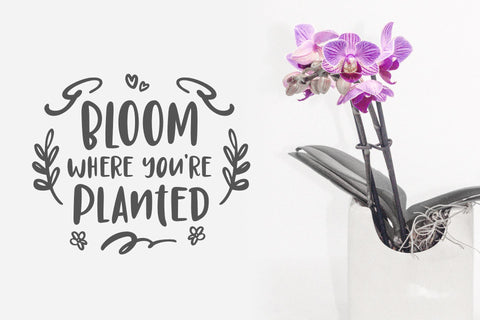 Quickie Party Font Holydie Studio 