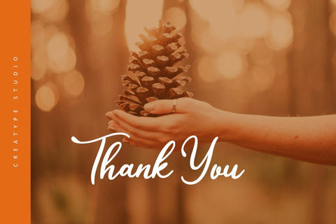 Quickly Express Script Font Creatype Studio 