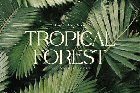 Quillen Typeface Font Storytype Studio 