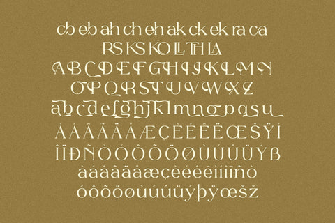 Quillen Typeface Font Storytype Studio 