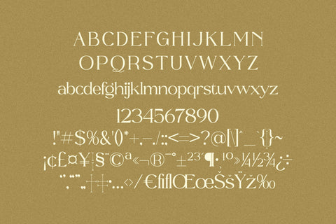 Quillen Typeface Font Storytype Studio 