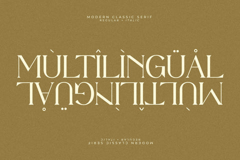 Quillen Typeface Font Storytype Studio 