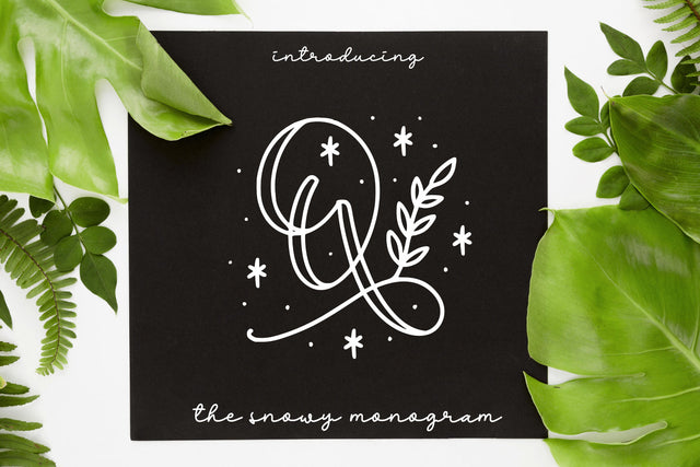 Quinn Monogram Font Abo Daniel Studio 
