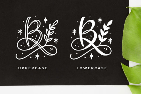 Quinn Monogram Font Abo Daniel Studio 