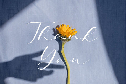 Quinolyne Font Qwrtype Foundry 