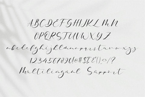 Quinolyne Font Qwrtype Foundry 