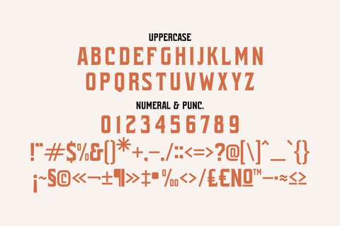 QUINOR Typeface Font Storytype Studio 