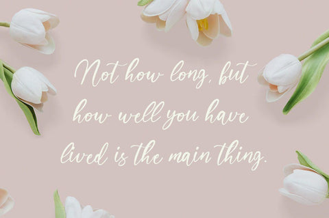 Rabelan - Modern Calligraphy Font Font Vultype Co 