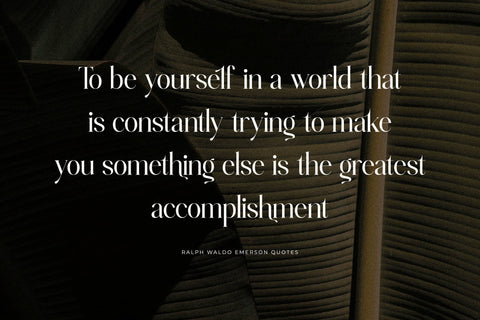 Rabgella Typeface Font Storytype Studio 