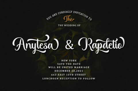 Rabusta Greatness - 4 Type Font Font BungStudio 