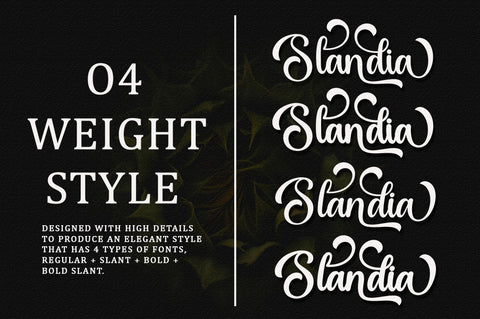 Rabusta Greatness - 4 Type Font Font BungStudio 
