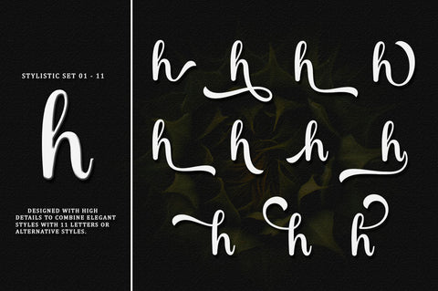 Rabusta Greatness - 4 Type Font Font BungStudio 