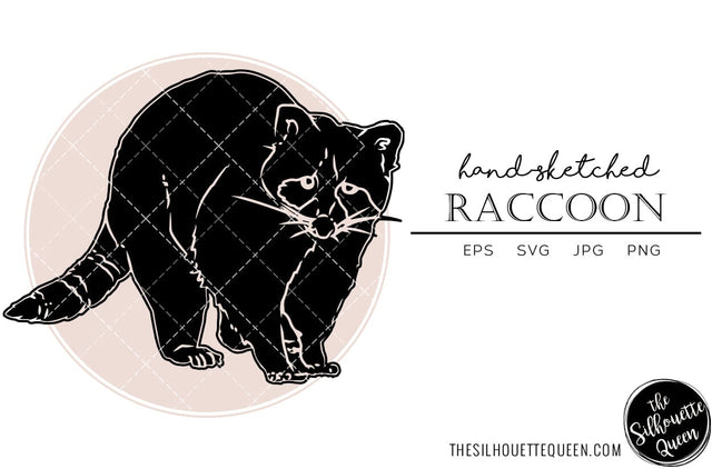 Raccoon Sketch Vector SVG Loveleen Kaur 