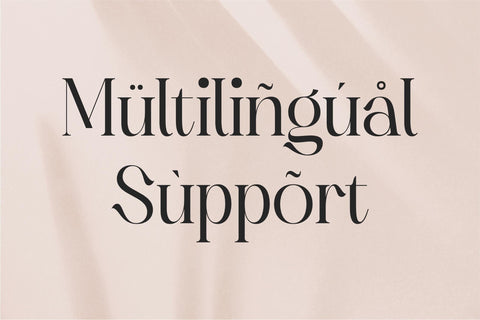 Rachelna Typeface Font Storytype Studio 