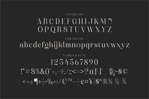 Rachelna Typeface Font Storytype Studio 