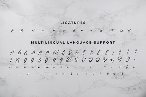 Rachelyne - Modern Calligraphy Font Font StringLabs 