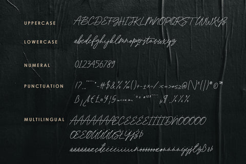 Rachetty Handwritten Script Font Font Balevgraph Studio 