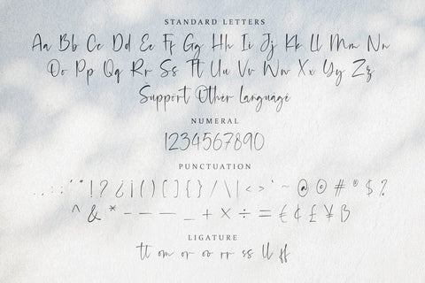 Radiants - Casual Signature Font Font Alpaprana Studio 