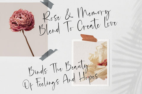 Radiants - Casual Signature Font Font Alpaprana Studio 